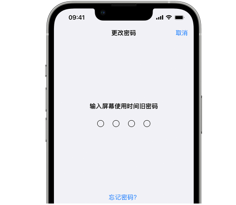 潢川iPhone屏幕维修分享iPhone屏幕使用时间密码忘记了怎么办 