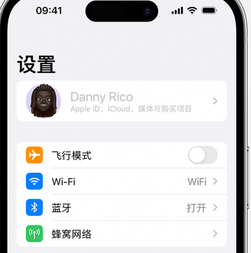 潢川appleID维修服务iPhone设置中Apple ID显示为灰色无法使用