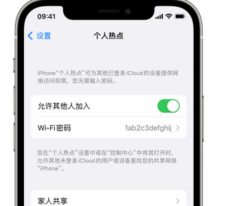 潢川apple服务站点分享iPhone上个人热点丢失了怎么办