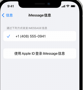 潢川apple维修iPhone上无法正常发送iMessage信息 