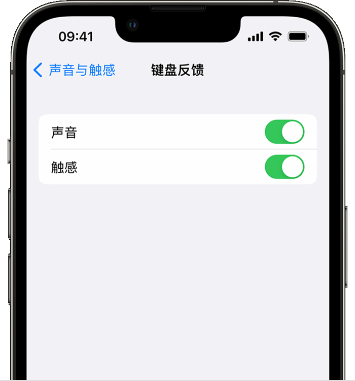 潢川苹果14维修店分享如何在 iPhone 14 机型中使用触感键盘 