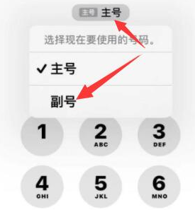 潢川苹果14维修店分享iPhone 14 Pro Max使用副卡打电话的方法 