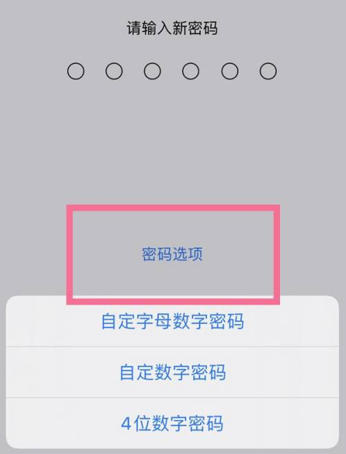 潢川苹果14维修分享iPhone 14plus设置密码的方法 