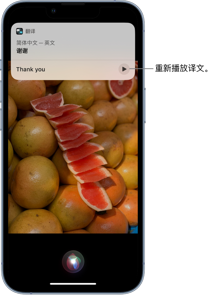 潢川苹果14维修分享 iPhone 14 机型中使用 Siri：了解 Siri 能帮你做什么 