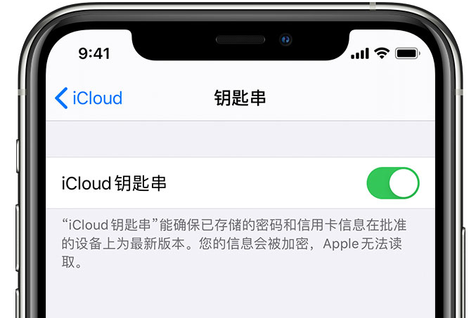 潢川苹果手机维修分享在 iPhone 上开启 iCloud 钥匙串之后会储存哪些信息 