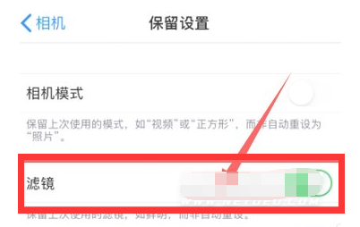 潢川苹果13维修分享iPhone13拍照有绿点是怎么回事 